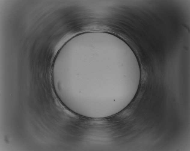 X0000103261486200809261127