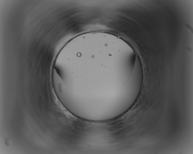 X0000103261488200809261127