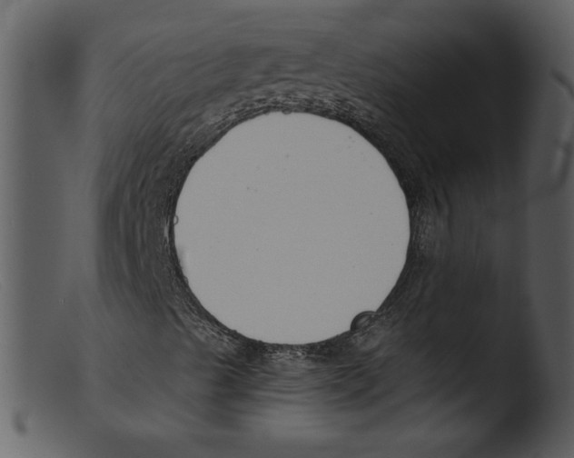 X0000103261489200809261126