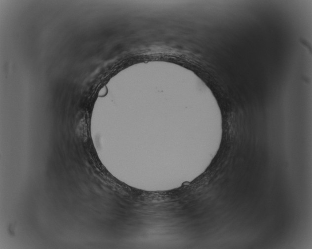 X0000103261493200809261126