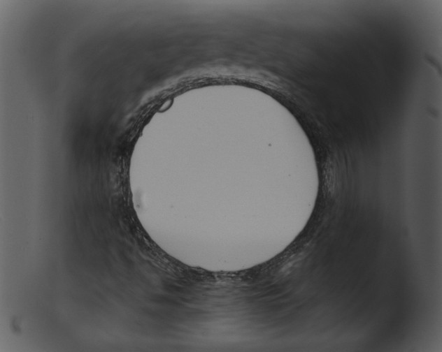 X0000103261494200809261126