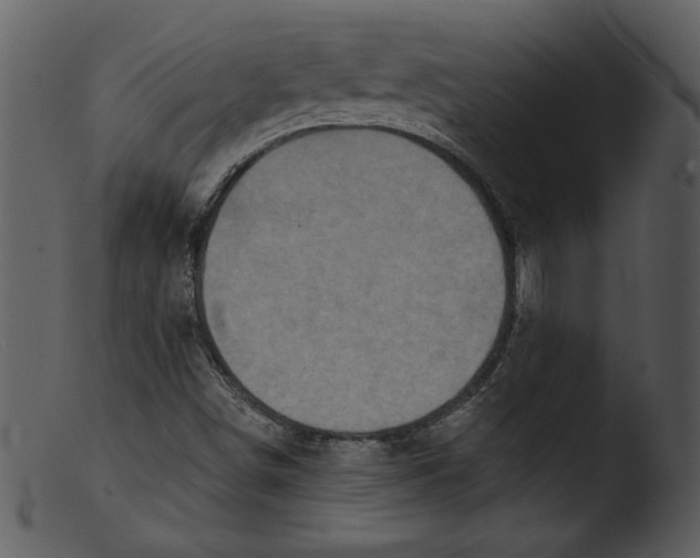 X0000103261498200809261126