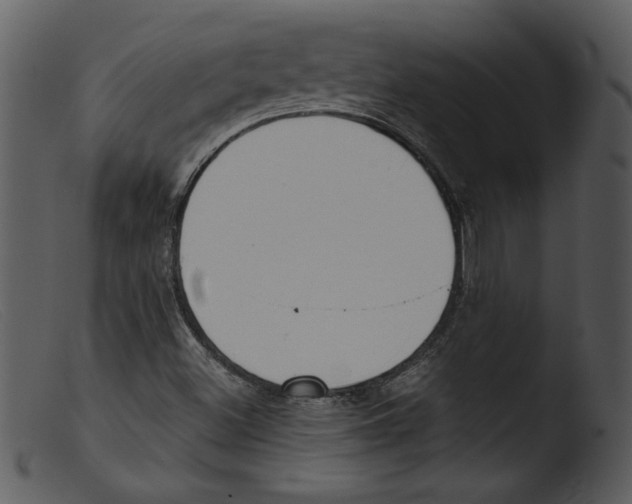 X0000103261500200809261126