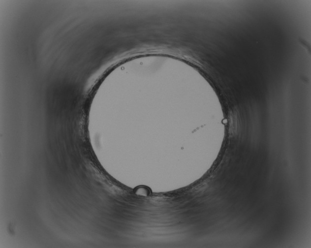 X0000103261502200809261126