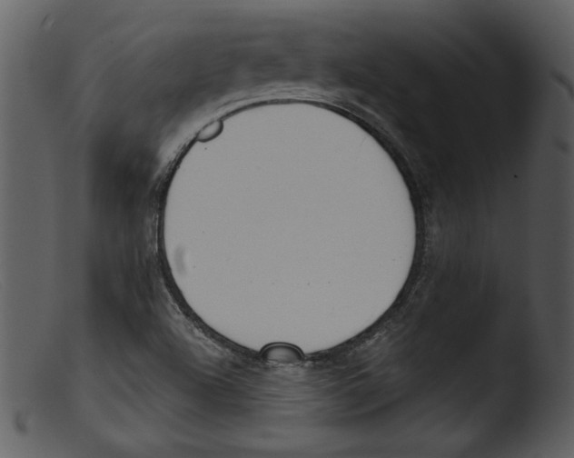 X0000103261504200809261126