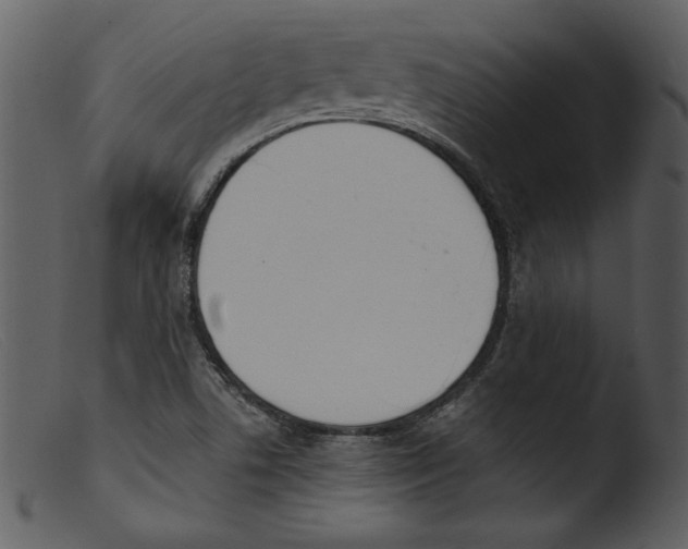 X0000103261506200809261126