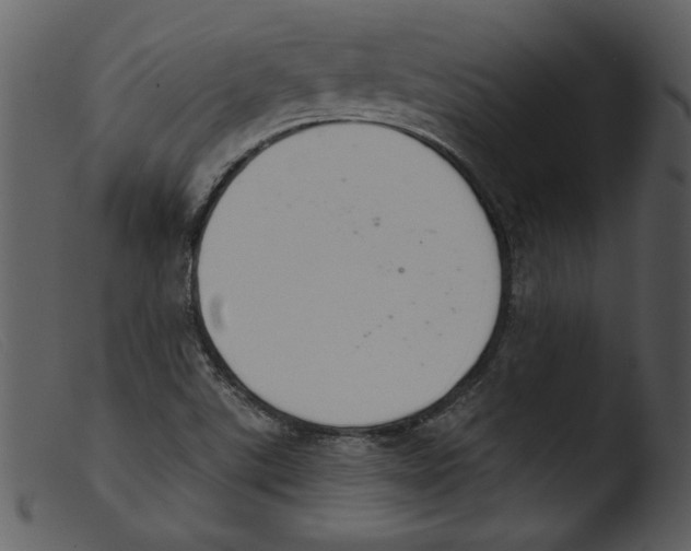 X0000103261507200809261126