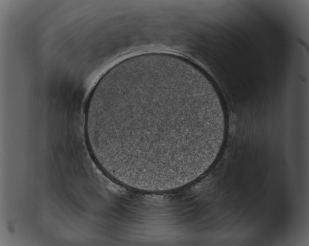 X0000103261508200809261126