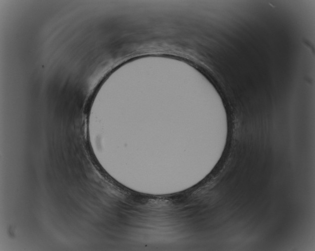 X0000103261509200809261126