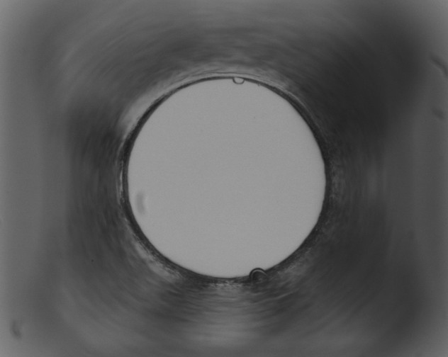 X0000103261511200809261126