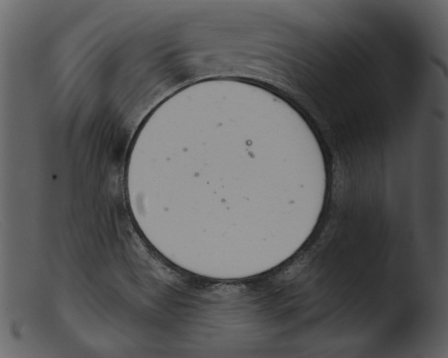 X0000103261513200809261126