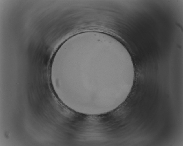 X0000103261514200809261126