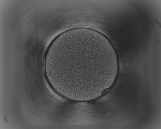 X0000103261515200809261126