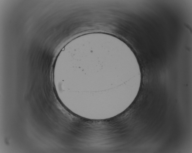 X0000103261516200809261126