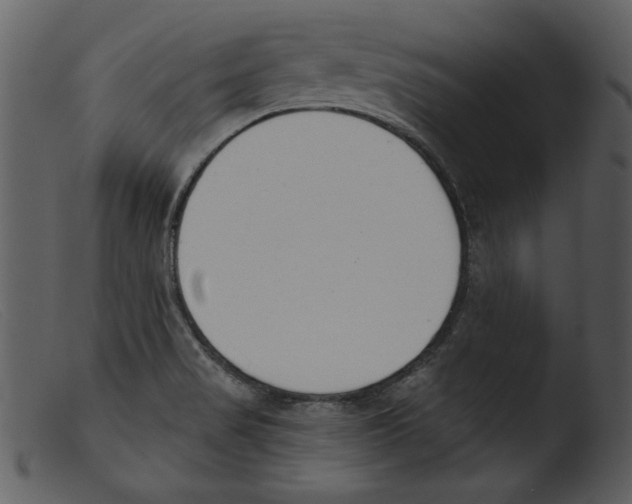 X0000103261517200809261126