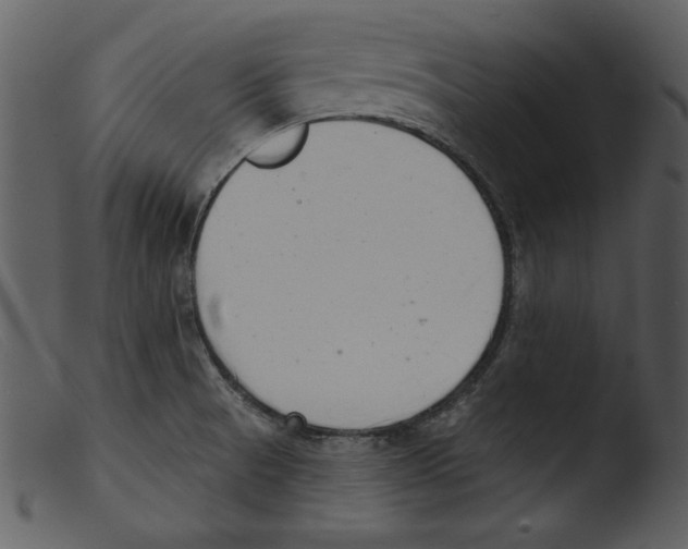 X0000103261521200809261126