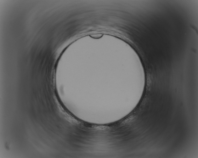 X0000103261522200809261127