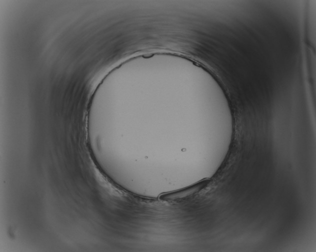 X0000103261524200809261127