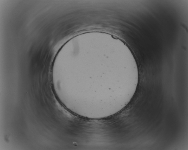 X0000103261527200809261127