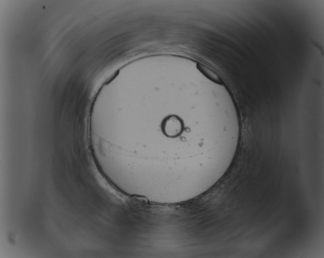 X0000103261528200809261127