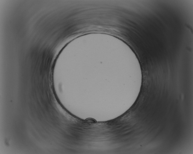 X0000103261531200809261127