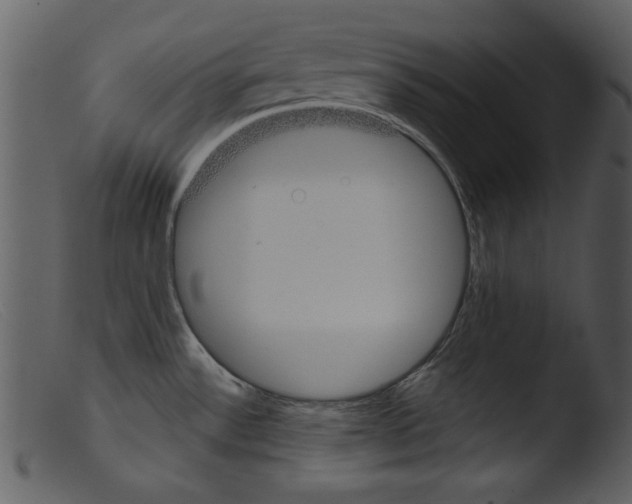 X0000103261532200809261127