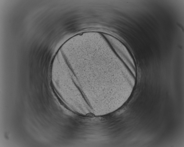 X0000103261533200809261127