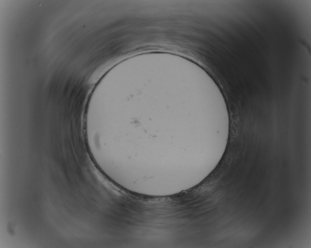 X0000103261535200809261127