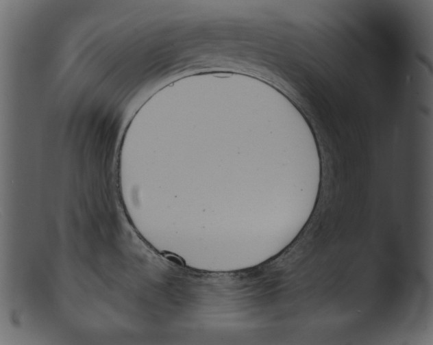 X0000103261536200809261127