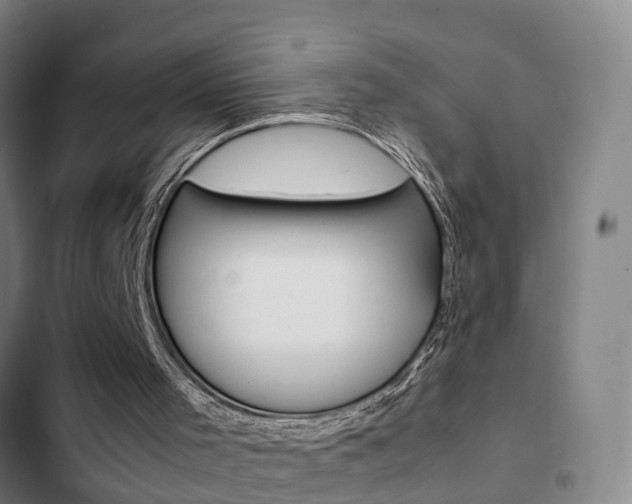 X0000103270001200808291118