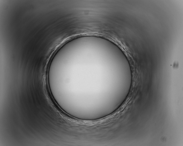 X0000103270002200808291118