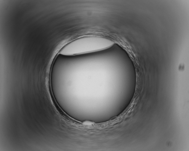 X0000103270003200808291118