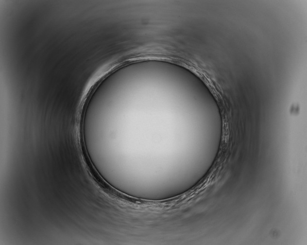 X0000103270004200808291117