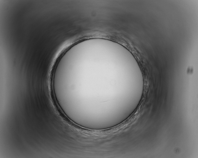 X0000103270006200808291117