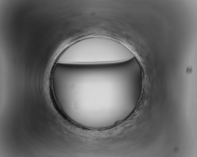 X0000103270007200808291117