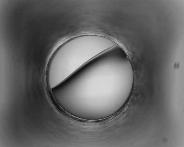 X0000103270008200808291117