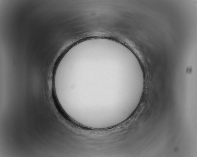 X0000103270011200808291117