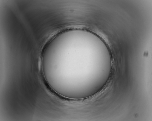 X0000103270013200808291117