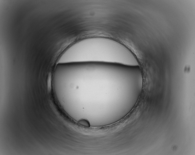 X0000103270014200808291117