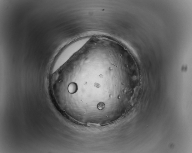 X0000103270015200808291117