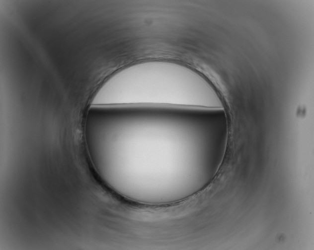 X0000103270017200808291117