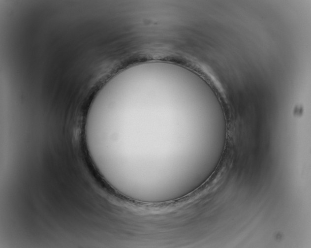 X0000103270018200808291117