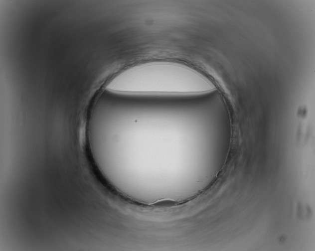 X0000103270019200808291117