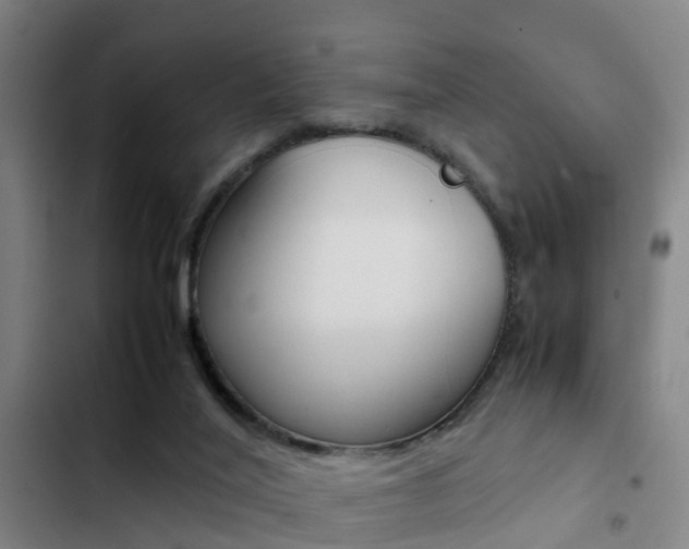 X0000103270020200808291117