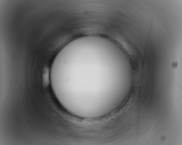 X0000103270022200808291117