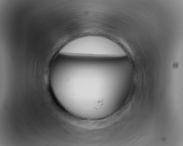 X0000103270023200808291117