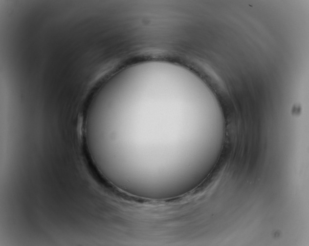 X0000103270024200808291117