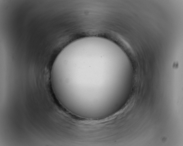 X0000103270025200808291117