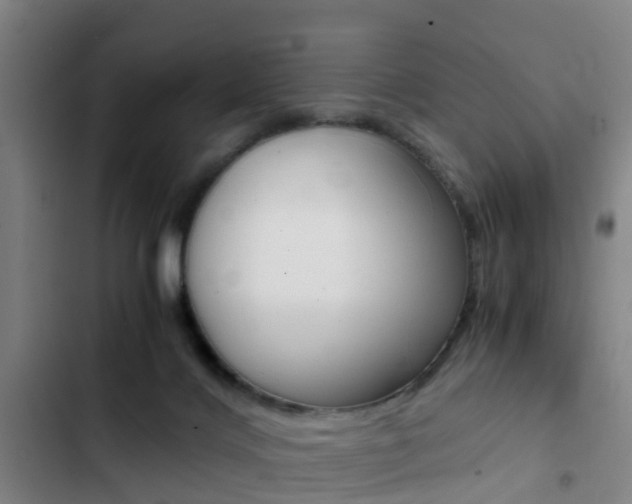 X0000103270028200808291117