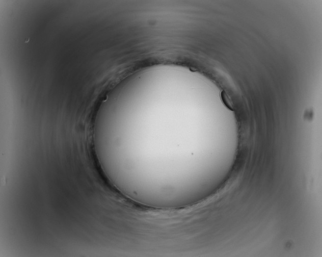 X0000103270029200808291117